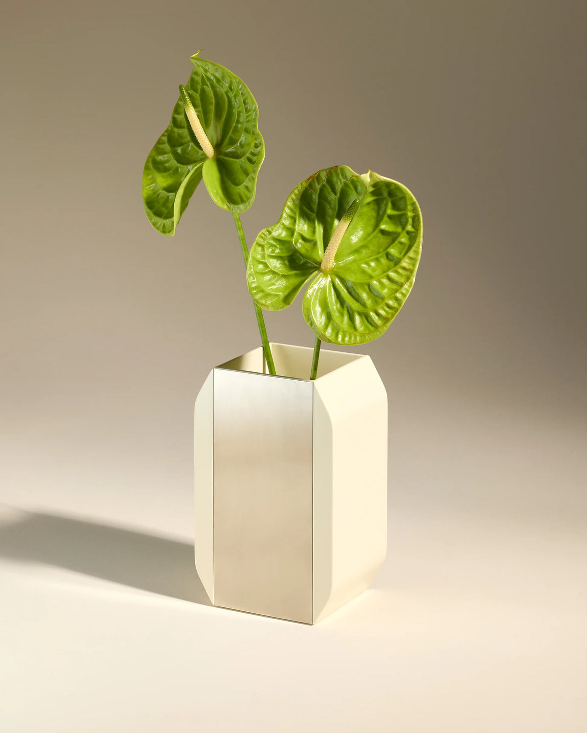 Vase "Oscar" von Maison Sarah Lavoine